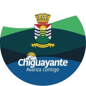 WhatsApp Image 2025-08-06 at 11.02.37 (5)